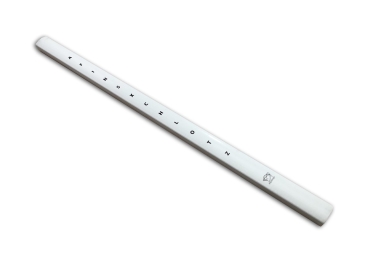 Vision Stick